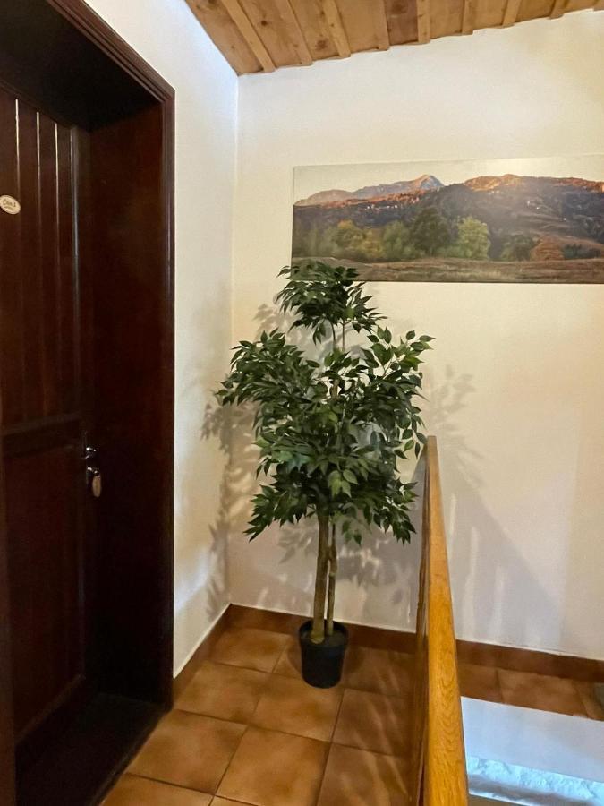 Vila Sofia Predeal Esterno foto