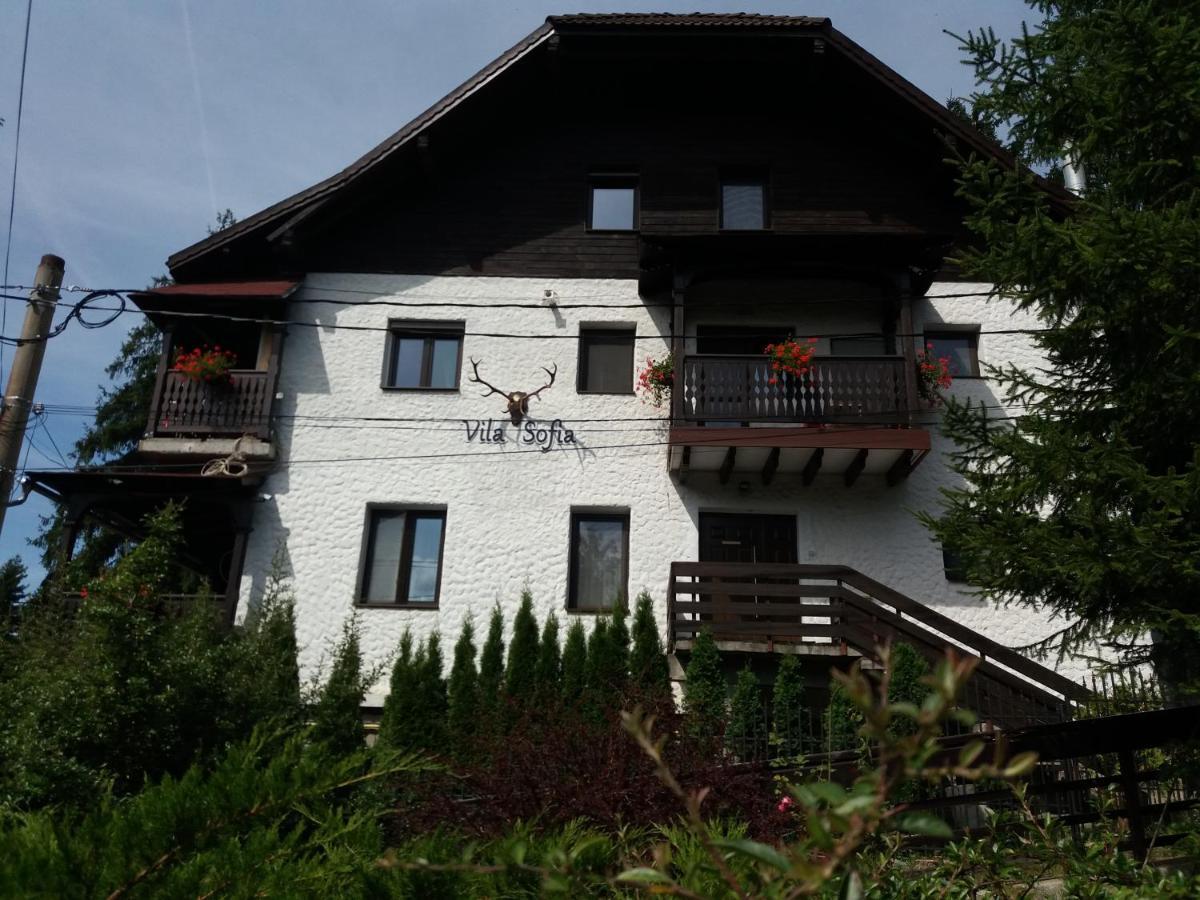 Vila Sofia Predeal Esterno foto